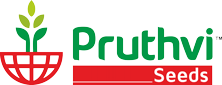 Alternate Text