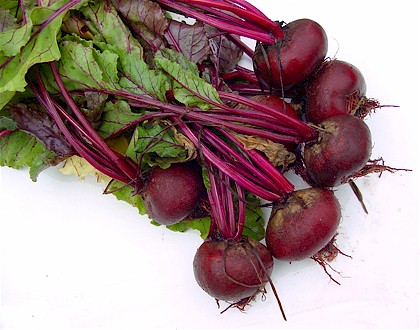 Image 01