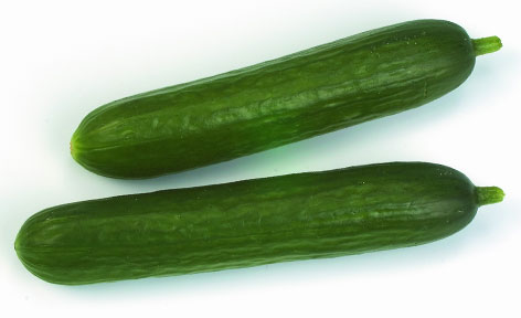 Image 01